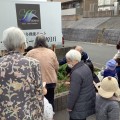 甘～い大根ができました