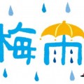 梅雨がきますね🐌