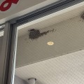 今年も来てくれました♪