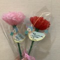 そろそろあの日です…❁