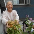 じゃが芋収穫