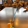 でんでんむしむし～～