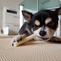 大和田さん（事務員）
