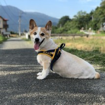 原竹さん（総務）