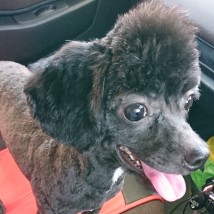 高木くん（介護主任）