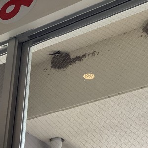 今年も来てくれました♪