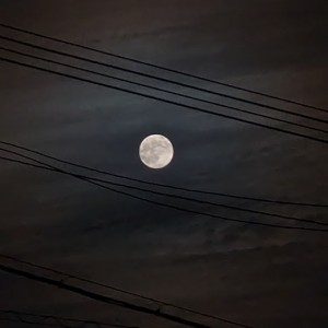 木枯らしの季節