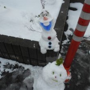 今日ﾊ雪ﾃﾞｽﾈｯ!!(;´･∀･｀)┌∴*゜*｡Уцκi∴*