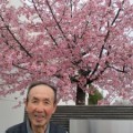 桜の日の思い出