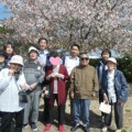 4月4日 桜見物 in 馬市公園